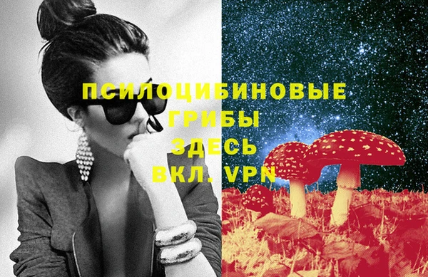 прущая мука Вязники