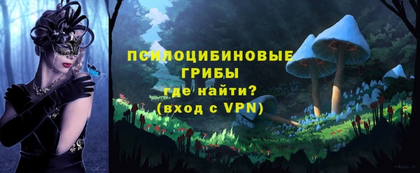 прущая мука Вязники