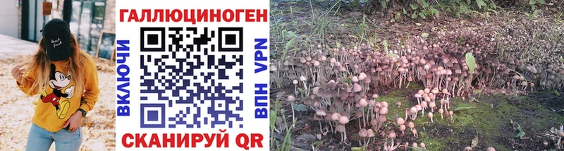 это официальный сайт  купить закладку  Елец  Галлюциногенные грибы MAGIC MUSHROOMS 